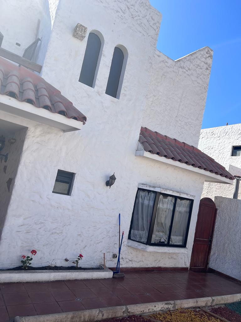 Jardines del Sur - Antofagasta - foto 2